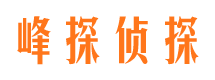 镜湖侦探公司